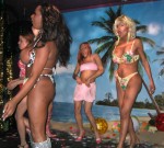 Previous Transsexual Tropicana photo