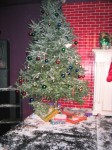Shemale Winter Wonderland photo 290