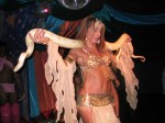 Next Arabian Shemale Nights photo