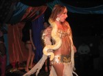 Previous Arabian Shemale Nights photo