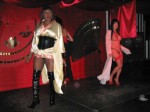 Memoirs of a Transsexual Geisha photo 9